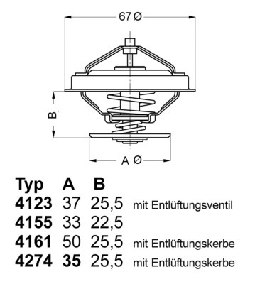 Termostat, kylvätska Borgwarner (wahler) 4123.80D BorgWarner (Wahler)