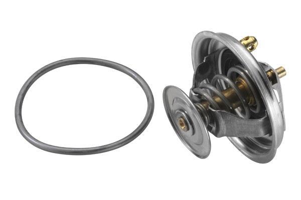 Termostat, kylvätska Borgwarner (wahler) 4123.80D BorgWarner (Wahler)