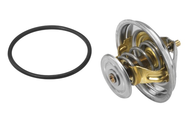 Termostat, kylvätska Borgwarner (wahler) 4235.80D BorgWarner (Wahler)
