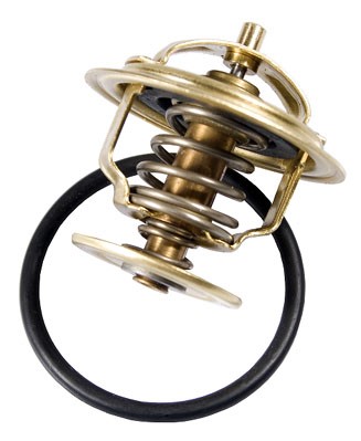 Termostat, kylvätska Borgwarner (wahler) 4253.87D BorgWarner (Wahler)