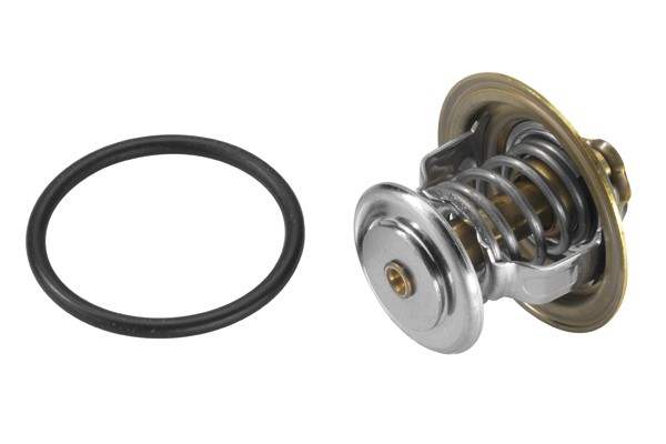 Termostat, kylvätska Borgwarner (wahler) 4255.87D BorgWarner (Wahler)