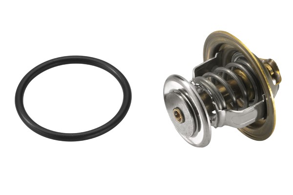 Termostat, kylvätska Borgwarner (wahler) 4255.87D BorgWarner (Wahler)