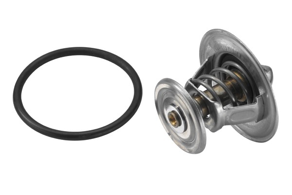Termostat, kylvätska Borgwarner (wahler) 4264.87D BorgWarner (Wahler)