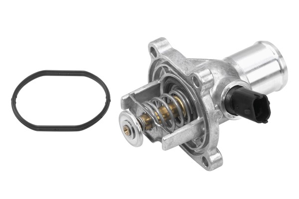 Termostat, kylvätska Borgwarner (wahler) 4431.105D BorgWarner (Wahler)