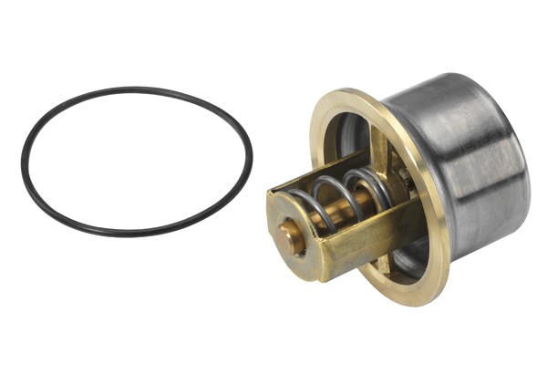 Termostat, kylvätska Borgwarner (wahler) 4621.80D BorgWarner (Wahler)