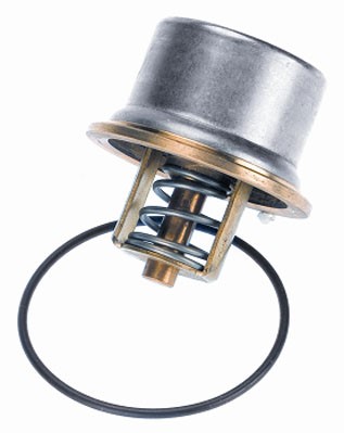 Termostat, kylvätska Borgwarner (wahler) 4621.80D BorgWarner (Wahler)