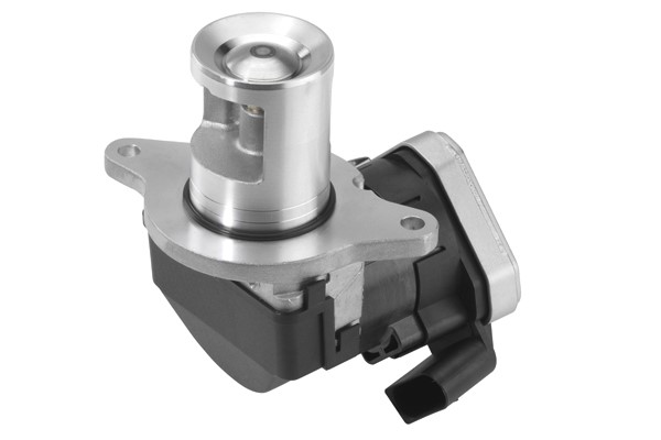 Egr-ventil Borgwarner (wahler) 710023D BorgWarner (Wahler)