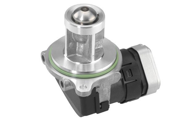 Egr-ventil Borgwarner (wahler) 710073D BorgWarner (Wahler)