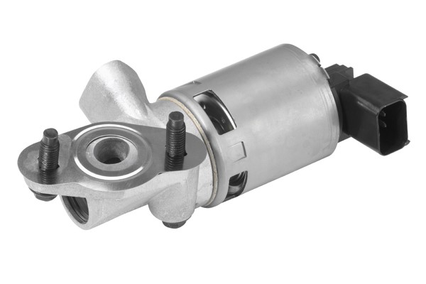 Egr-ventil Borgwarner (wahler) 710631D BorgWarner (Wahler)