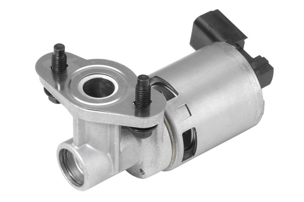 Egr-ventil Borgwarner (wahler) 710634D BorgWarner (Wahler)