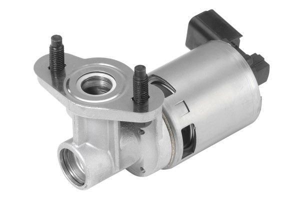 Egr-ventil Borgwarner (wahler) 710635D BorgWarner (Wahler)
