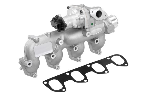 Egr-ventil Borgwarner (wahler) 710665D BorgWarner (Wahler)