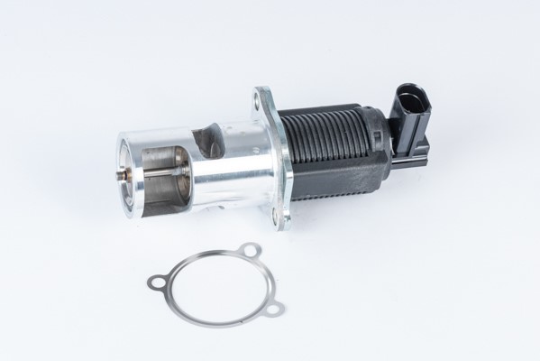 Egr-ventil Borgwarner (wahler) 710723D BorgWarner (Wahler)
