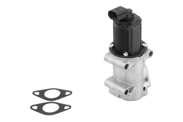 Egr-ventil Borgwarner (wahler) 710770D BorgWarner (Wahler) Egr-ventil Borgwarner (wahler) 710770D BorgWarner (Wahler)
