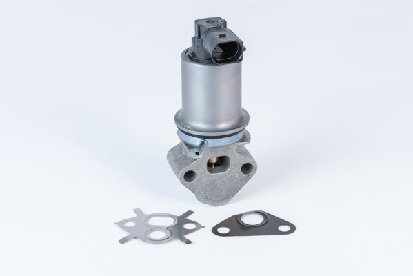 Egr-ventil Borgwarner (wahler) 710771D0 BorgWarner (Wahler)