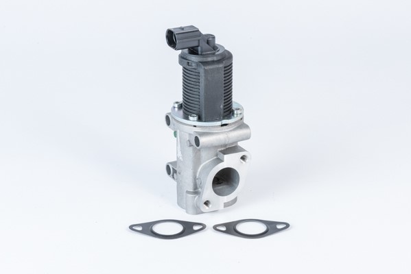 Egr-ventil Borgwarner (wahler) 710772D BorgWarner (Wahler) Egr-ventil Borgwarner (wahler) 710772D BorgWarner (Wahler)