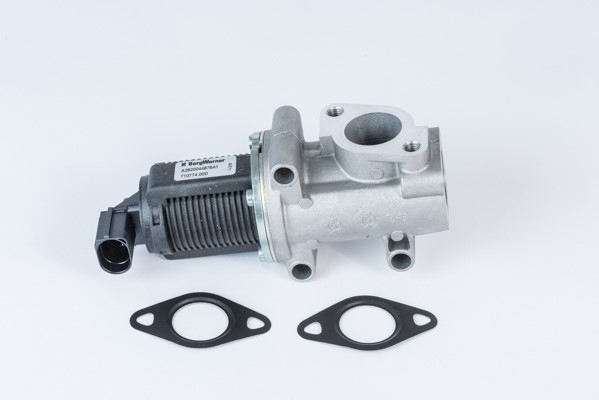 Egr-ventil Borgwarner (wahler) 710774D BorgWarner (Wahler)