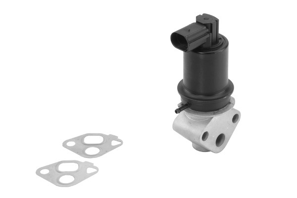 Egr-ventil Borgwarner (wahler) Oe-version/genuine 710778D0 BorgWarner (Wahler)