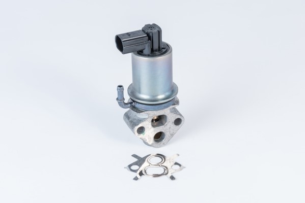 Egr-ventil Borgwarner (wahler) 710788D0 BorgWarner (Wahler)