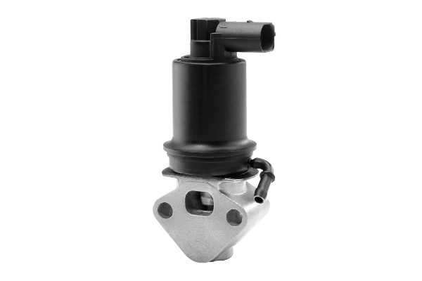Egr-ventil Borgwarner (wahler) 710829D0 BorgWarner (Wahler)