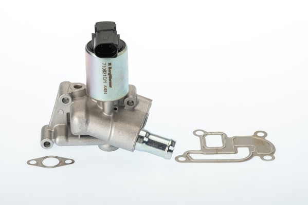 Egr-ventil Borgwarner (wahler) Oe-version/genuine 710831D BorgWarner (Wahler)