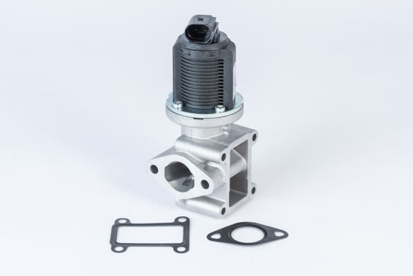 Egr-ventil Borgwarner (wahler) 710837D BorgWarner (Wahler)