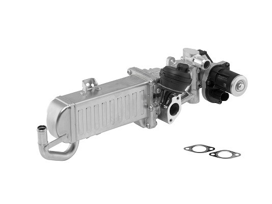 EGR-modul Borgwarner (wahler) 710861D BorgWarner (Wahler)
