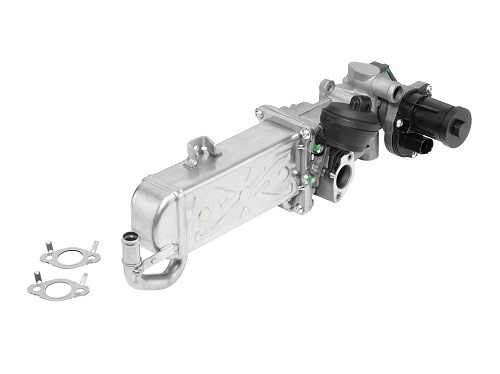 EGR-modul Borgwarner (wahler) 710861R BorgWarner (Wahler)
