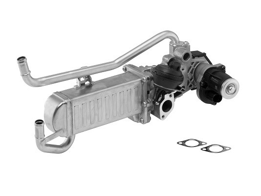 EGR-modul Borgwarner (wahler) 710863D BorgWarner (Wahler)