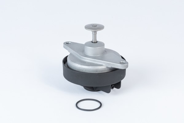 Egr-ventil Borgwarner (wahler) 710920R BorgWarner (Wahler)