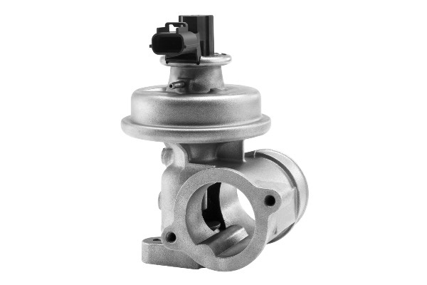 Egr-ventil Borgwarner (wahler) 710923R BorgWarner (Wahler)