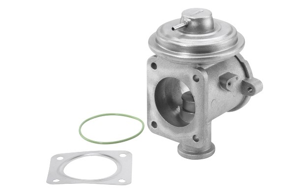 Egr-ventil Borgwarner (wahler) 710924R BorgWarner (Wahler)