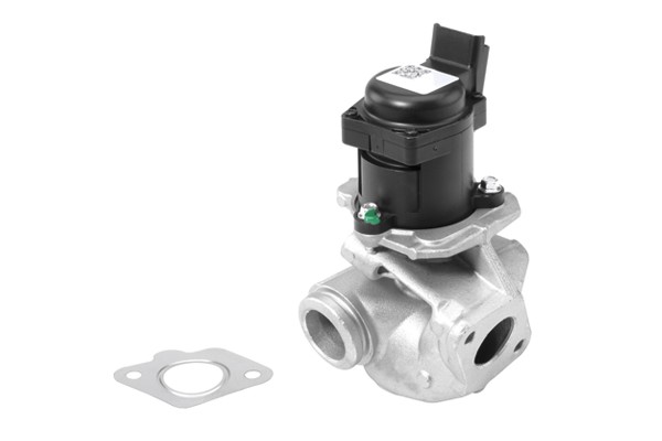 Egr-ventil Borgwarner (wahler) 710927R BorgWarner (Wahler)