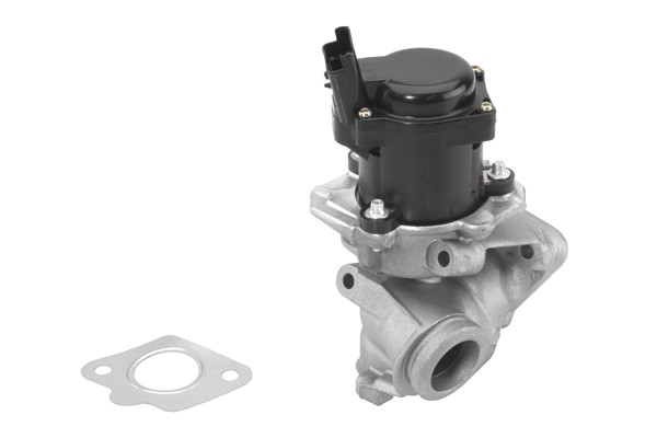 Egr-ventil Borgwarner (wahler) 710929R BorgWarner (Wahler) Egr-ventil Borgwarner (wahler) 710929R BorgWarner (Wahler)