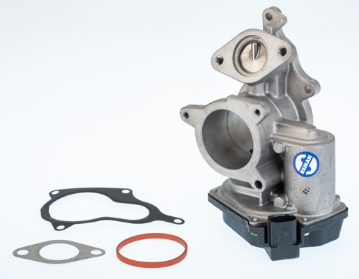 Egr-ventil Borgwarner (wahler) 710931R BorgWarner (Wahler)