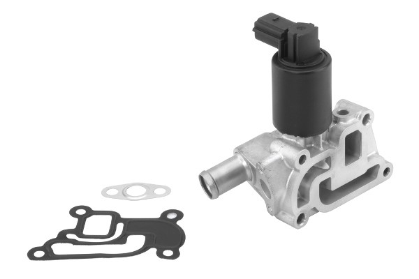 Egr-ventil Borgwarner (wahler) 710933R BorgWarner (Wahler)