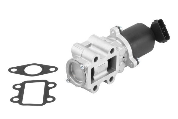 Egr-ventil Borgwarner (wahler) 710934R BorgWarner (Wahler)