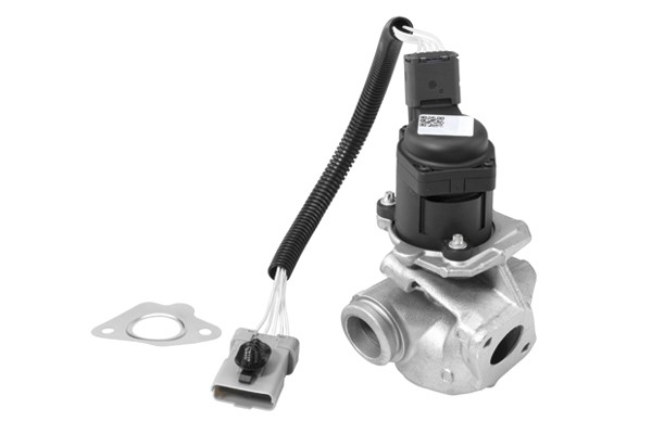 Egr-ventil Borgwarner (wahler) 710936R BorgWarner (Wahler)