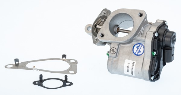 Egr-ventil Borgwarner (wahler) 710938R BorgWarner (Wahler)