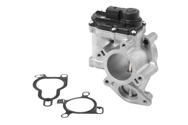 Egr-ventil Borgwarner (wahler) 710939R BorgWarner (Wahler)