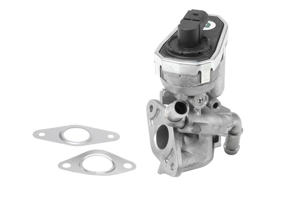 Egr-ventil Borgwarner (wahler) 710941R BorgWarner (Wahler)