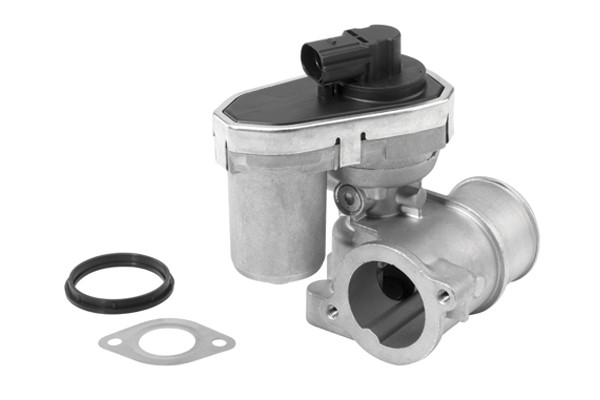 Egr-ventil Borgwarner (wahler) 710942R BorgWarner (Wahler)