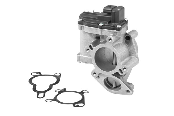Egr-ventil Borgwarner (wahler) 710945R BorgWarner (Wahler)
