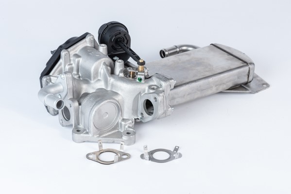Egr-ventil Borgwarner (wahler) 710946R BorgWarner (Wahler)