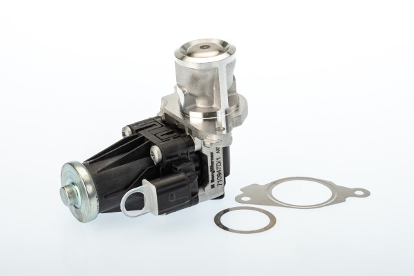 Egr-ventil Borgwarner (wahler) 710947R BorgWarner (Wahler)