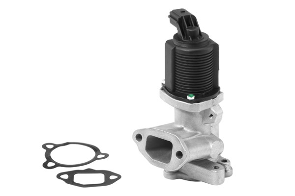 Egr-ventil Borgwarner (wahler) 710949R BorgWarner (Wahler)