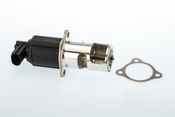 Egr-ventil Borgwarner (wahler) 710950R BorgWarner (Wahler)