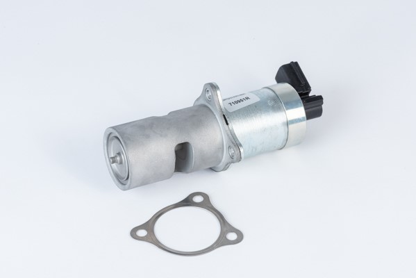 Egr-ventil Borgwarner (wahler) 710951R BorgWarner (Wahler)