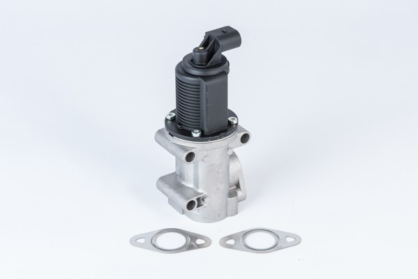 Egr-ventil Borgwarner (wahler) 710952R BorgWarner (Wahler)