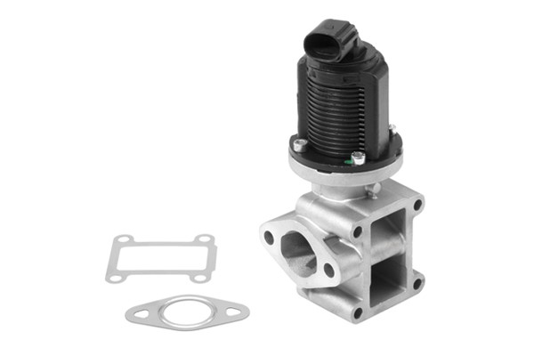 Egr-ventil Borgwarner (wahler) 710954R BorgWarner (Wahler)